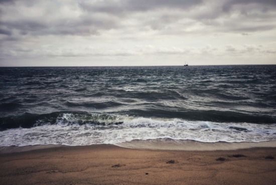 Beach Paul Rogers Case